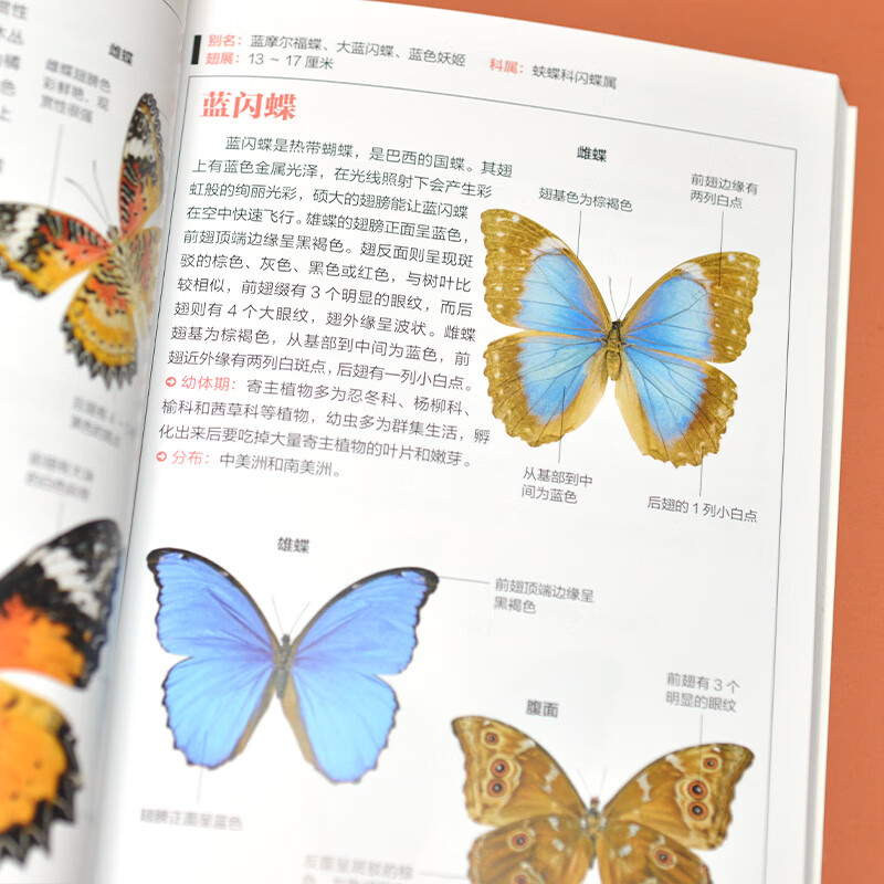 蝴蝶图鉴 158种蝴蝶与60种蛾类的特征图鉴图解珍藏科普读物指南蝴蝶