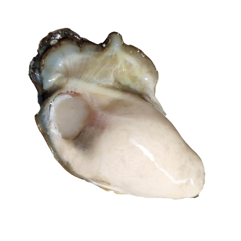 果亦橙 青岛新鲜生蚝去壳生蚝肉海蛎子肉  无冰衣牡蛎肉 生鲜贝类