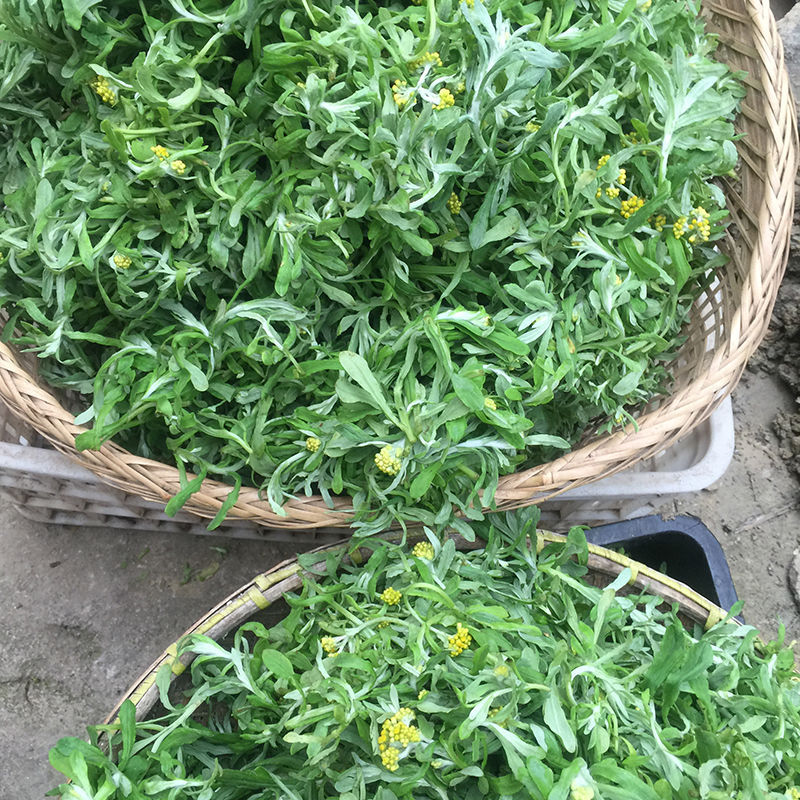 湖南特产艾草野菜粑粑清明草鼠曲草粑粑水牛花粑粑现做新鲜发货 一斤