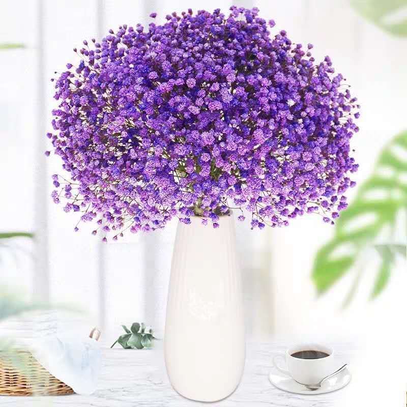 满天星干花花束真花风干文艺干花客厅摆设大束天然装饰插花小清新 玫