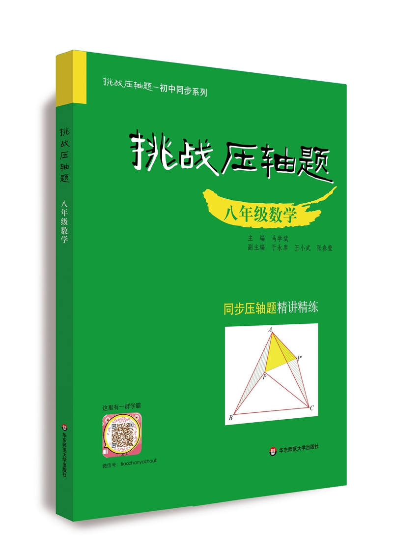 挑战压轴题·八年级数学 初二/八年级 八年级数学