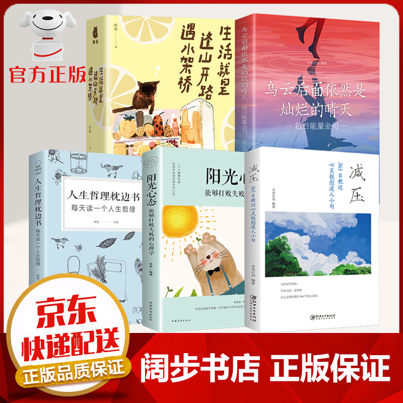 【京东配送 次日达 官方自营】乌云后面依