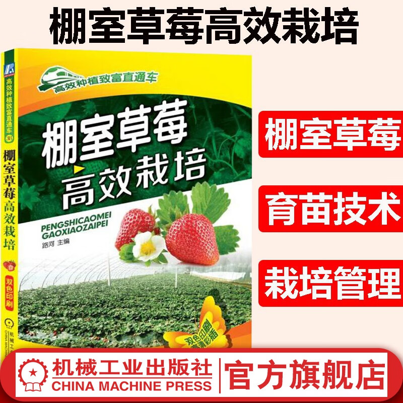 棚室草莓高效栽培 路河 主编 草莓科学栽培种植技术 大棚草莓种植教程 草莓育苗栽培管理无土栽培教程书籍