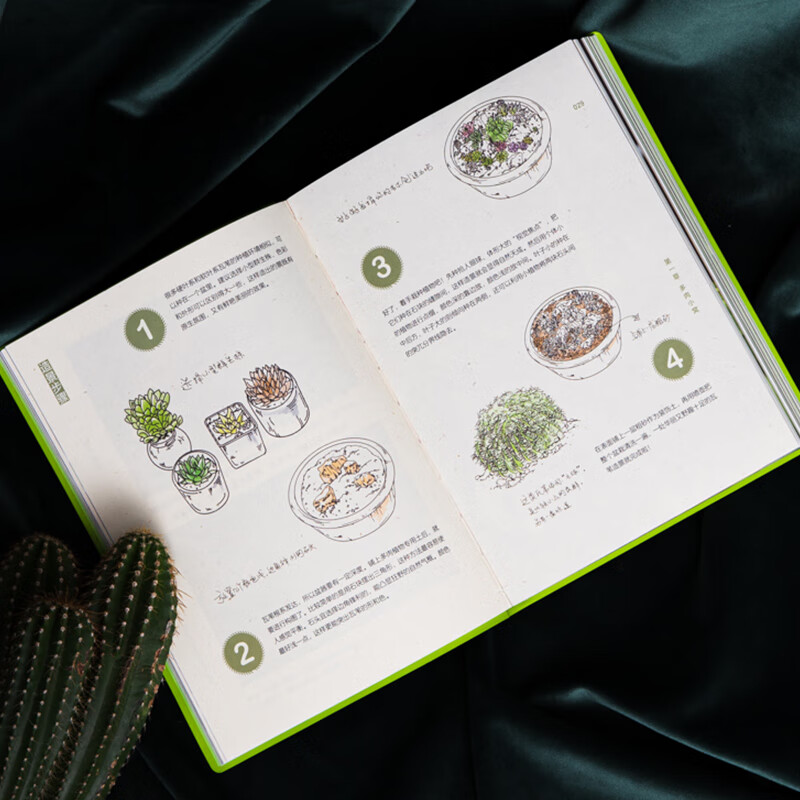 (包邮)中国国家地理海错图笔记系列、掌中花园、我的昆虫学入门书:无穷小亮讲昆虫 博物君狐主任张辰亮科普读物图书 新版(赠Q版小亮便利贴)掌中花园