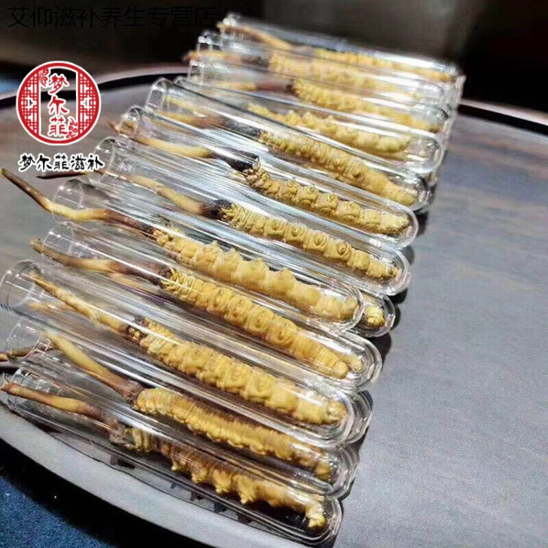 正宗虫草  冬虫夏草 冬虫草非断草管装超大根礼盒凉山伊梵麦 伊梵麦