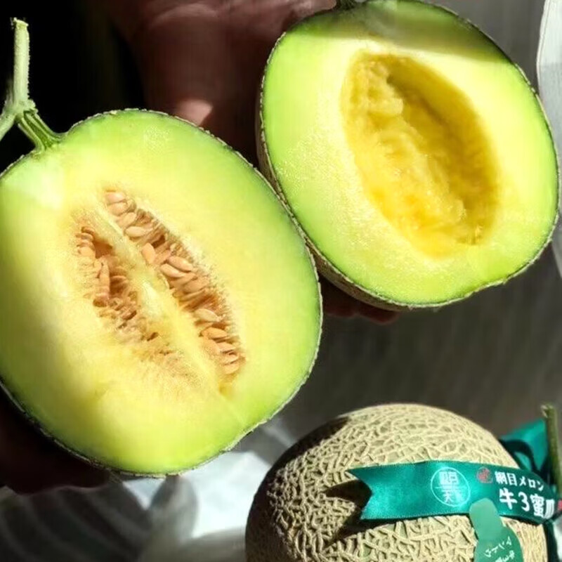 良蚨鲜 海南玫陇网纹瓜新鲜应季玫珑蜜瓜冰淇淋甜瓜孕妇水果 精选5斤优选玫龙蜜瓜2-3个