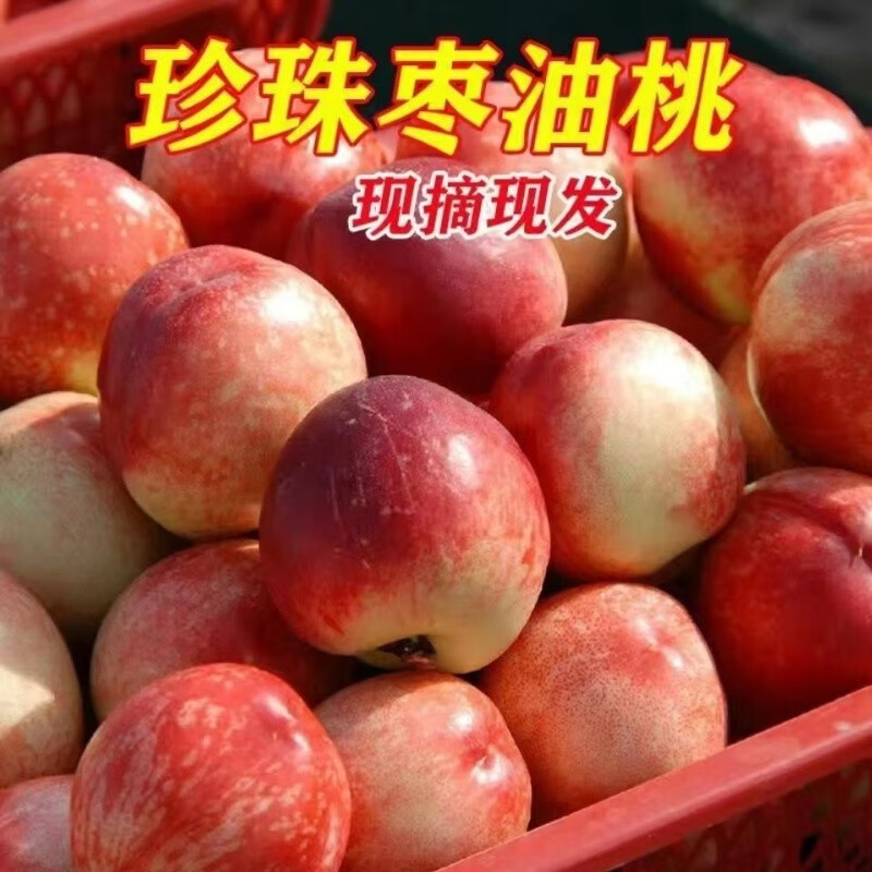 鹏翔宇【顺丰包邮】正宗珍珠枣油桃脆甜枣桃油桃枣蜜桃整箱新鲜应季水果 早熟珍珠枣油桃【白核微酸半离核】 净重4.5-5斤【店长推荐】