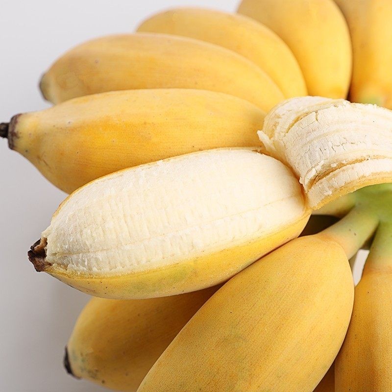 果迎鲜苹果蕉 广西苹果蕉 5斤 非广西西贡蕉 粉蕉 香蕉 新鲜水果