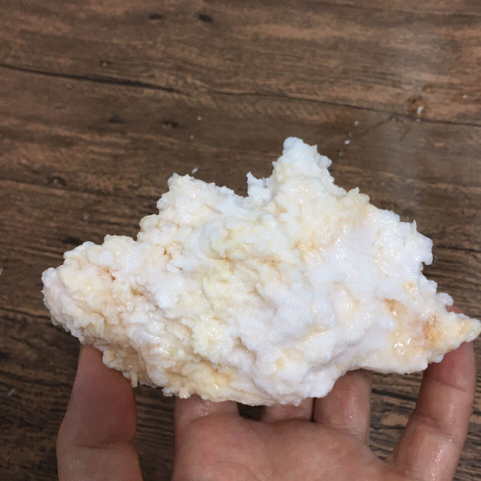 太岁肉灵芝 石太岁活体溶洞石太岁肉灵芝30克(试用装)净化水质鱼 净化