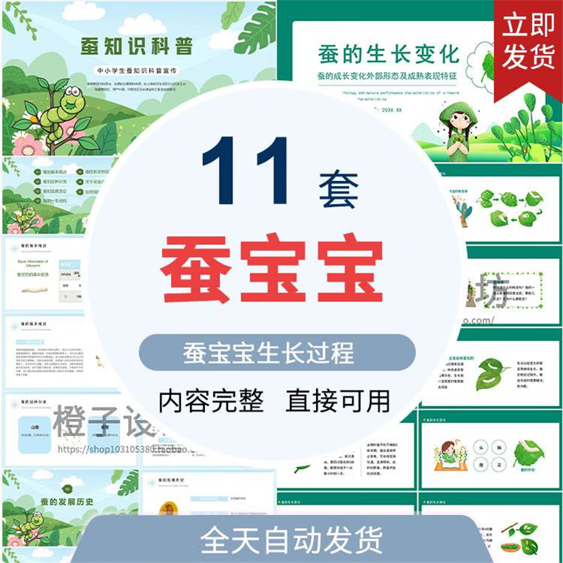 蚕宝宝的成长经历ppt蚕宝宝生长变化蚕的知识科普成品ppt 标准