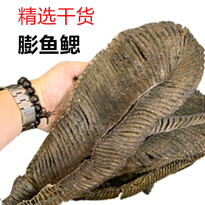鱼鳃 相关京东优惠商品销量降序 价格图片品牌优惠券 虎窝购