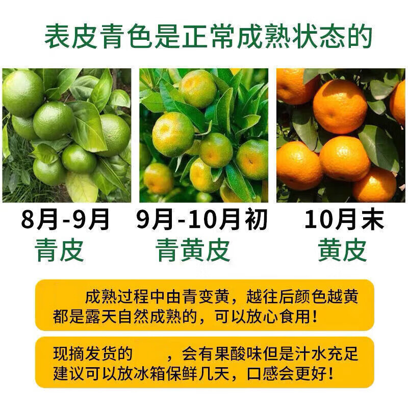 SHINE GRACE爱媛38号果冻橙四川橙子整箱应季水果新鲜橘子礼盒优质彩箱泡沫托 三通一达 净重8斤【单果75mm+】——推荐