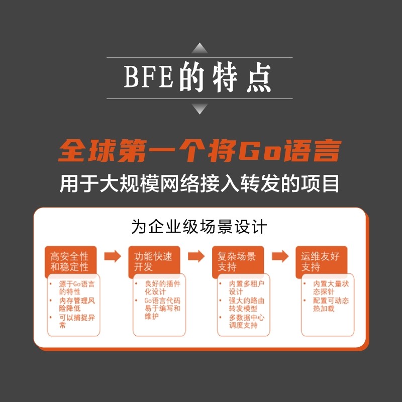 万亿级流量转发：BFE核心技术与实现（博文视点出品）详情图
