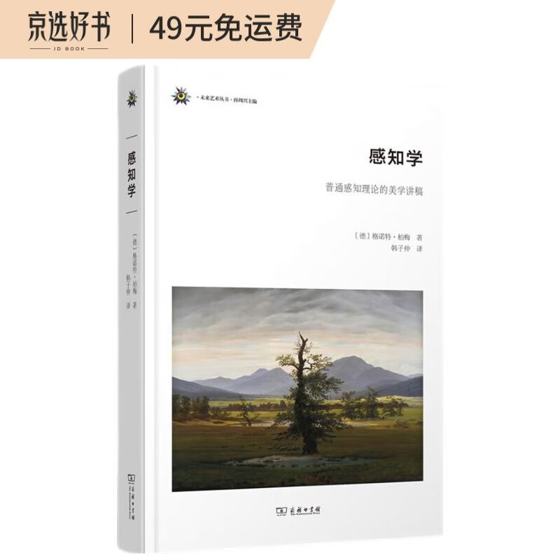 感知学——普通感知理论的美学讲稿（未来艺术丛书）