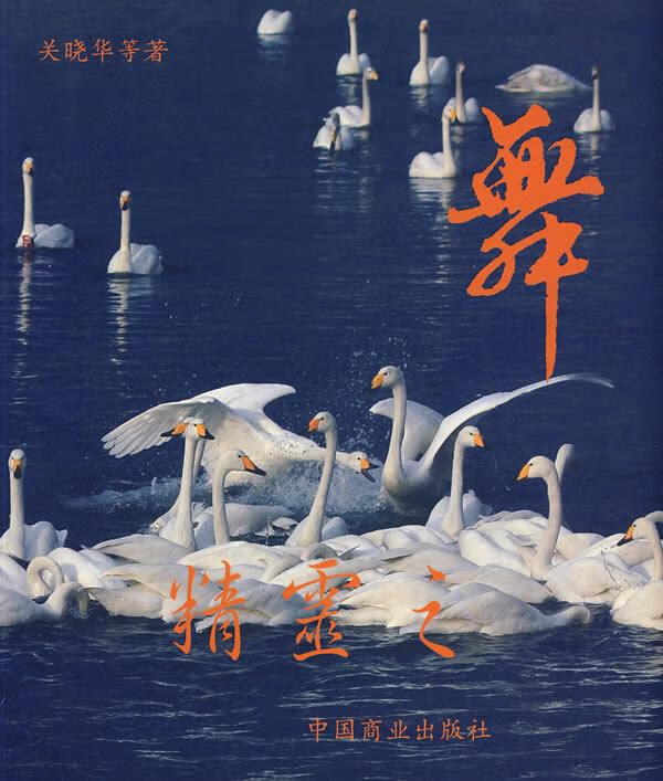 精灵之舞 关晓华 等著 9787504465979【正版】