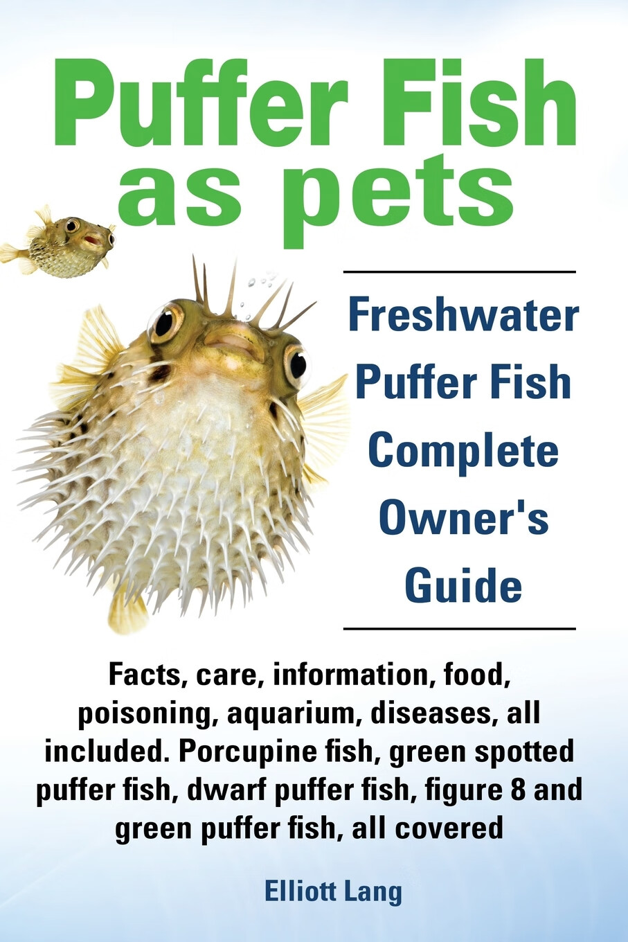 freshwater puffer fish facts, care, information, food