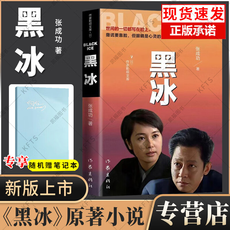 正版 黑冰 张成功 电视剧原版原著小说书籍 世间的一切都写在脸上