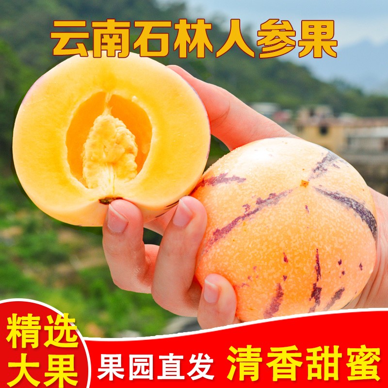 京东视频商品 2021-09-12 - 第15张 | 最新购物优惠券 京东视频商品 2021-09-12 - 第15张 | 最新购物优惠券