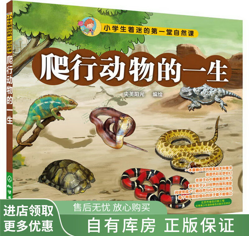 爬行动物的一生