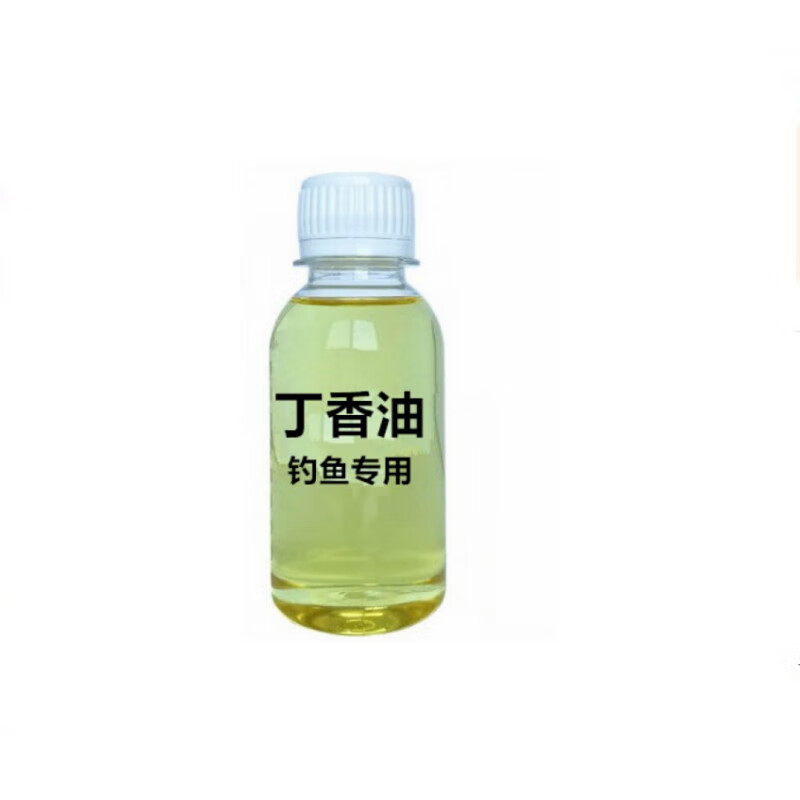 丁香油钓鱼 丁香油钓鱼小药鲤鲫鱼泡酒米窝料红虫蚯蚓沾鱼饵野钓鲫鱼