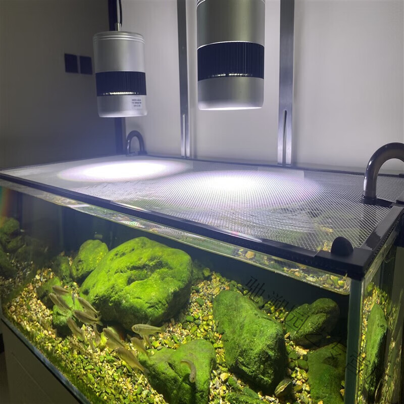 鸿灿佳卓鱼缸防跳网鱼缸盖放跳缸鱼缸防逃网盖雷龙防跳网乌龟防逃爬虫