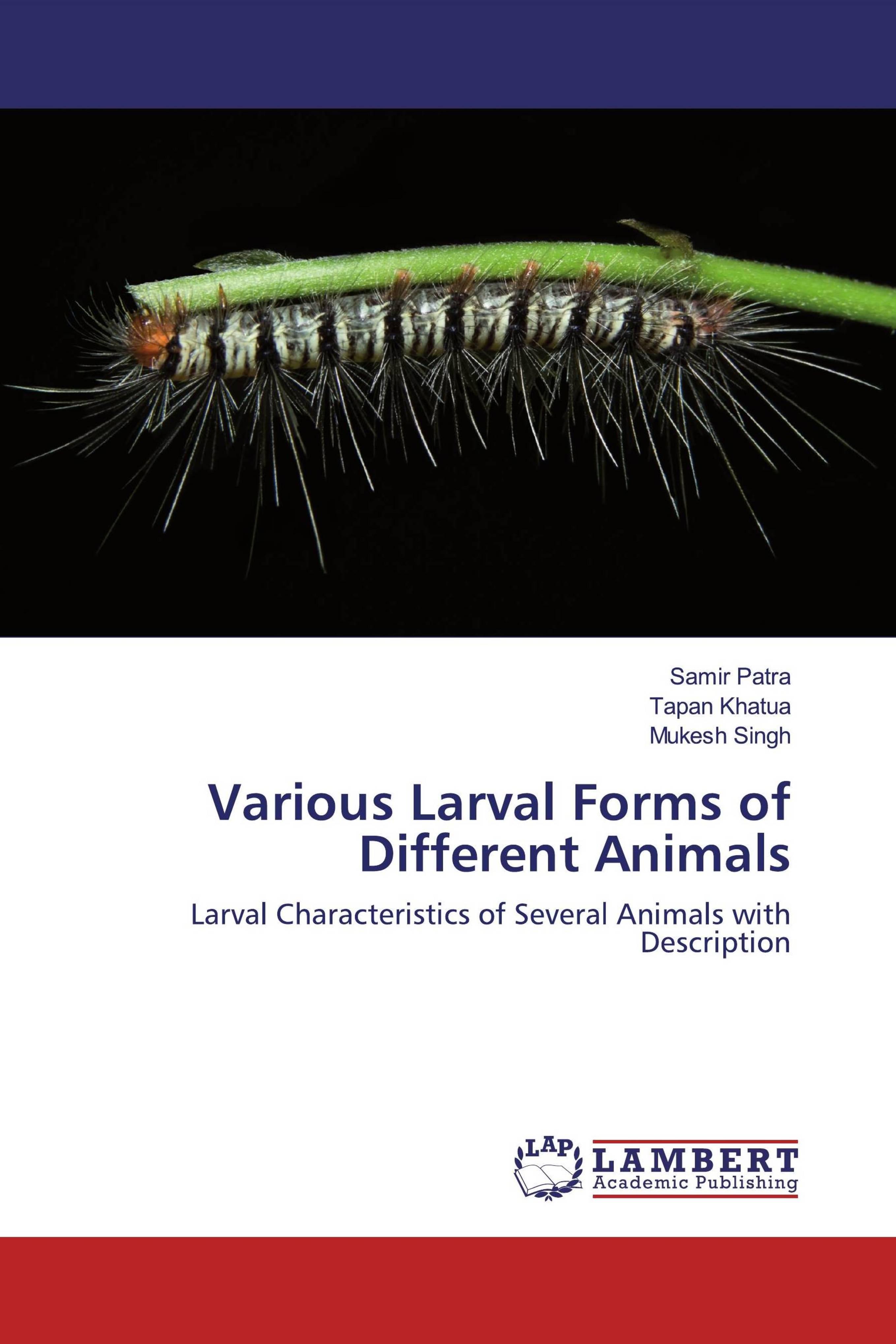 预订Various Larval Forms of Different Animals