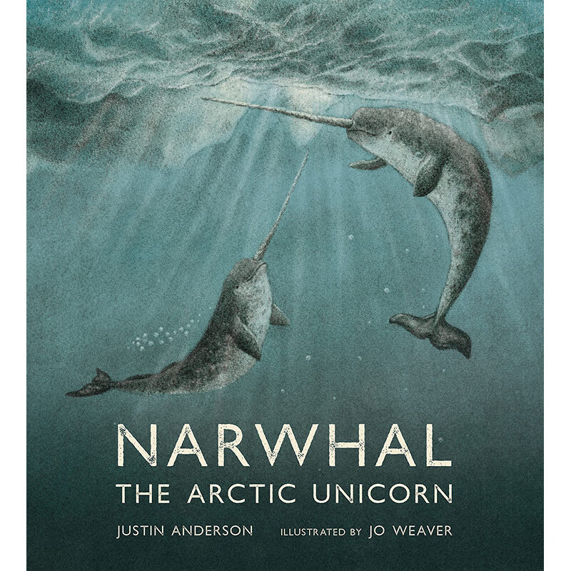 【预售】【翰德图书】narwhal: the arctic unicorn,独角鲸:北独角兽
