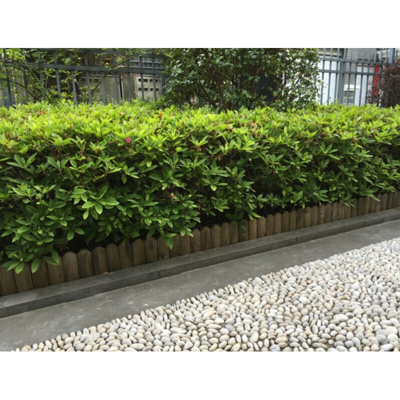 云珀田园地面园桩连杭碳化原木小栅栏户外园艺装饰隔离带 120*15 中等