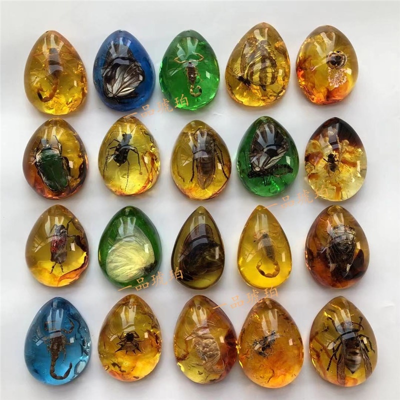 贻贝真昆虫琥珀吊坠化石标本虫珀项链学生教学个性创意挂件 红色 蝴蝶