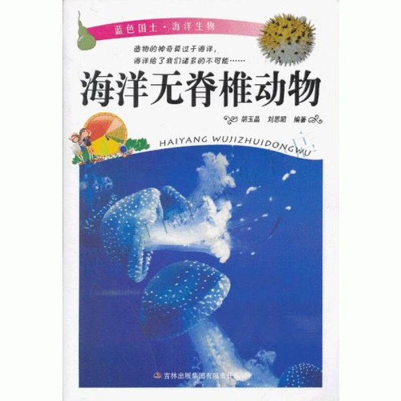蓝色国土海洋无脊椎动物【上新】