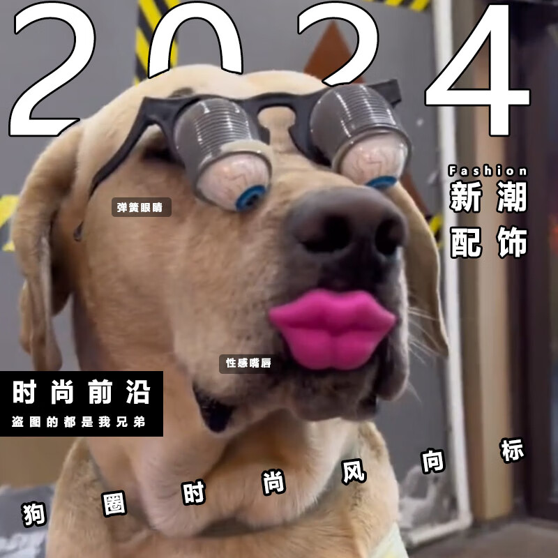 wcz创意整蛊弹簧眼镜瞪眼狗狗突眼玩具搞怪小玩意奇葩搞笑恶作剧道具