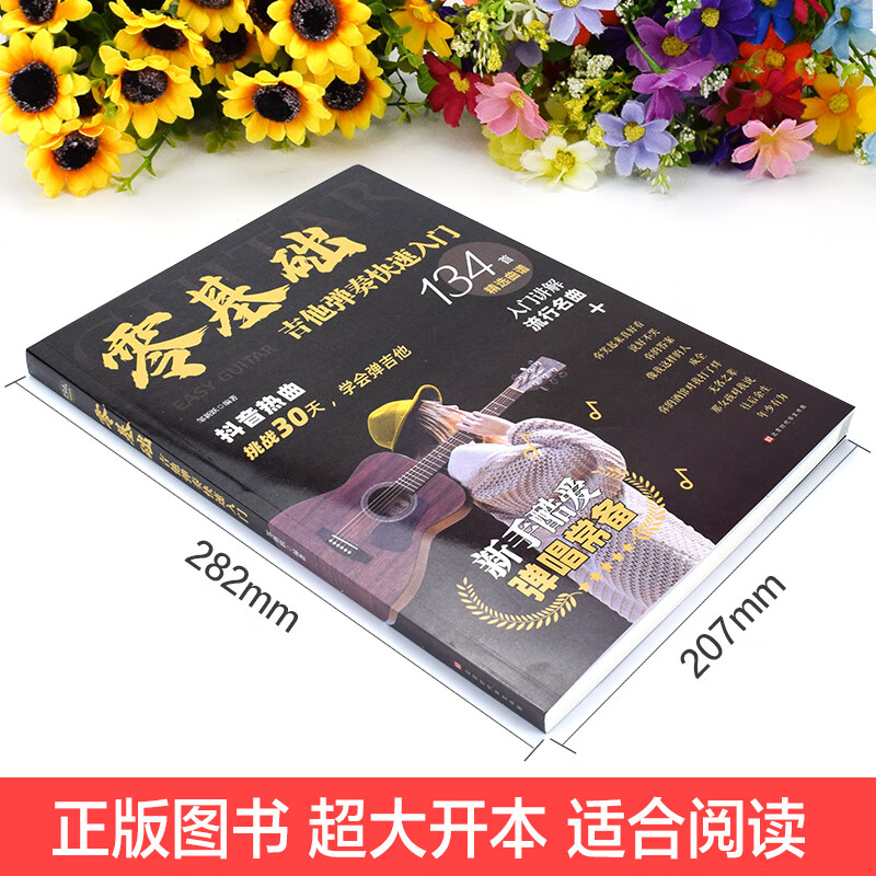 吉他谱初学者入门教程书 容易上手抖音热曲吉他手法扫弦奏法分解弹