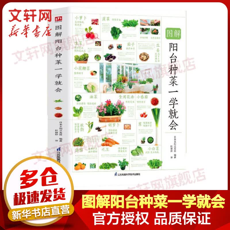 图解阳台种菜一学就会 图书