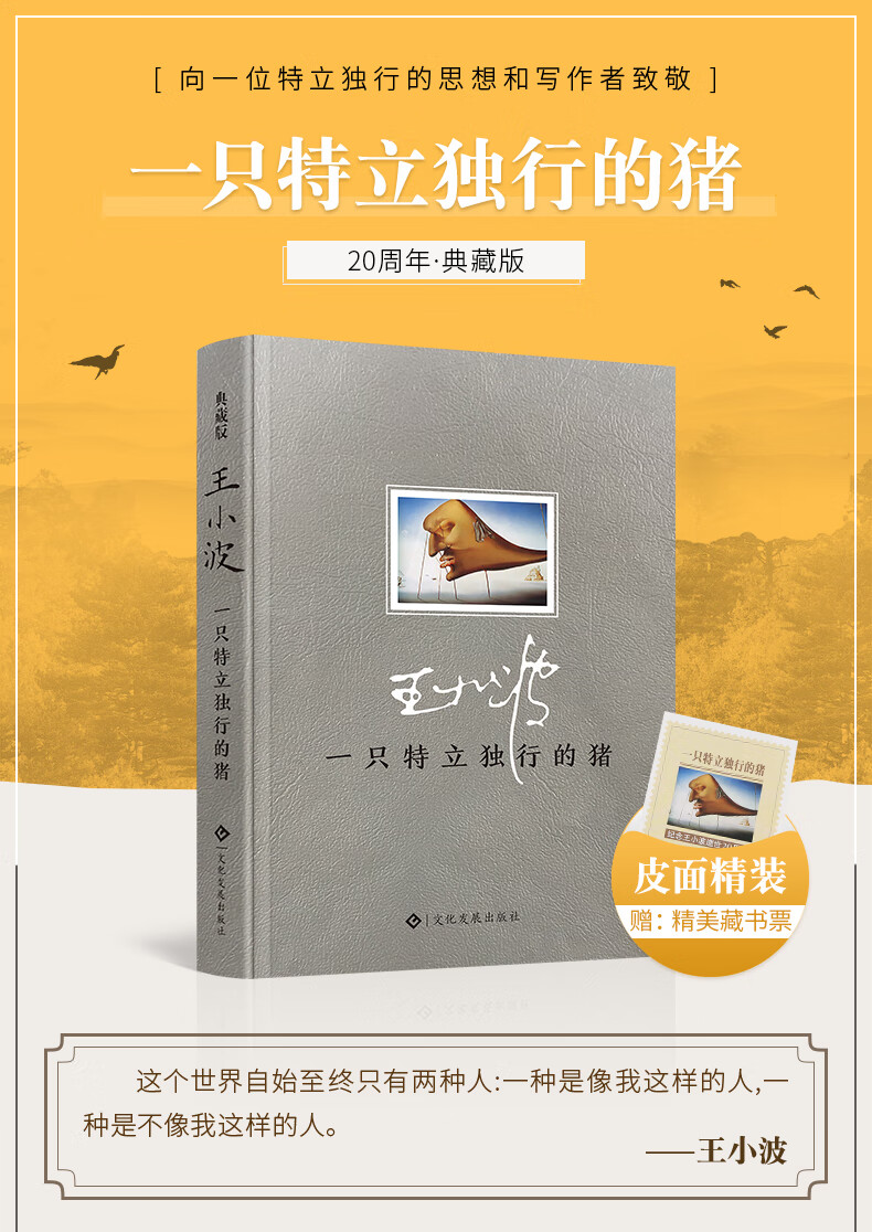 一只特立独行的猪 王小波 文化发展出版社王小波全集 王小波时代三
