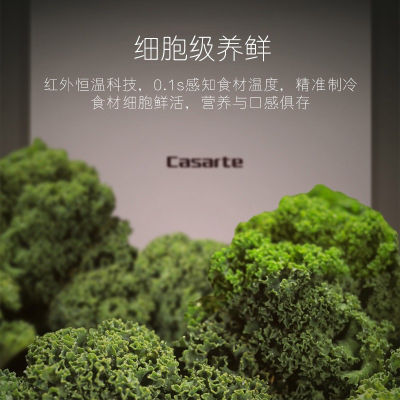 卡萨帝 （Casarte）伦布朗套系 551升 一级变频 十字对开门冰箱 自由嵌入式 钛金 BCD-551WDGMU1