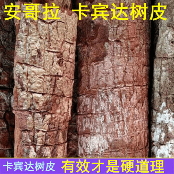 伟博卡宾达树皮男性滋补泡酒料特级锁阳特厚野生男性树皮茶 卡宾达