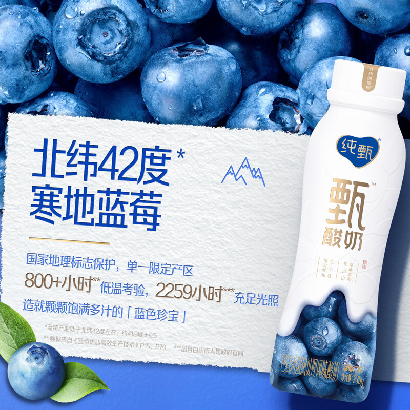 纯甄酸奶蓝莓味pet瓶230g*10瓶 蓝莓味1箱