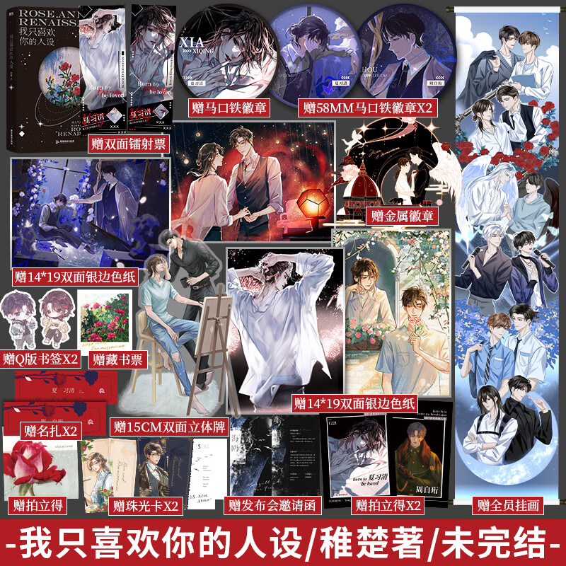 正版  我只喜欢你的人设小说实体书 稚楚著 周自珩 夏习清 作品有