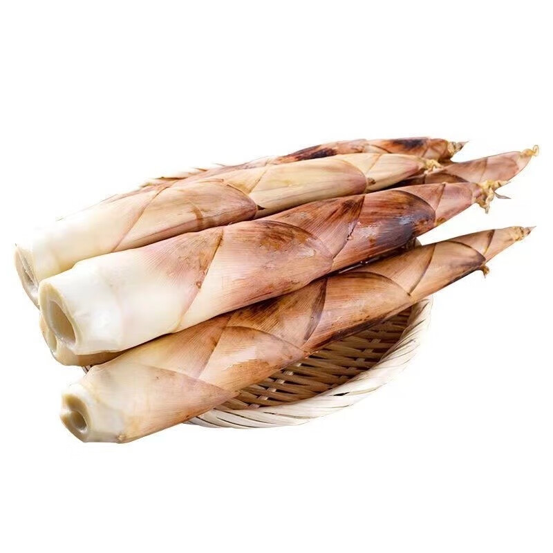 松林美果Z现挖四川春笋蒲江明月村雷竹笋新鲜时令蔬菜保温箱加冰袋去老头 精品5斤装+冰袋