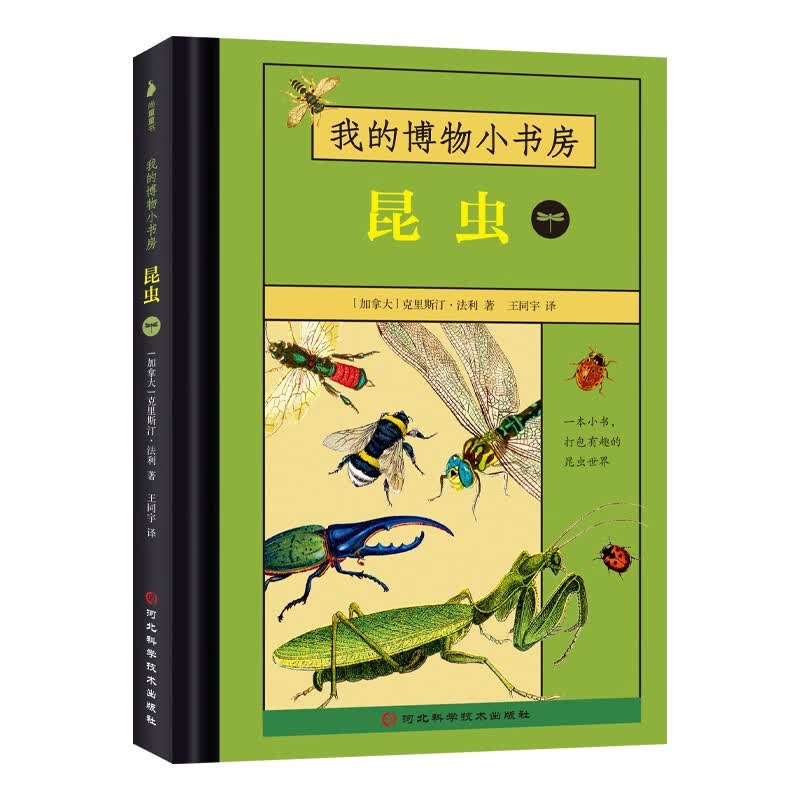 我的博物小书房（全4册：贝壳、蝴蝶、世界鸟类、昆虫）5-8岁动物科普，经典复古插绘，便携小开本详情图