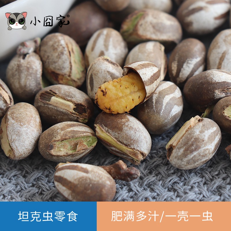 查看鼠类用品历史价格|鼠类用品价格比较