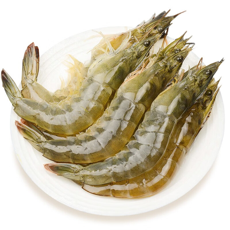【活鲜】京鲜生 鲜活海鲜 鲜活海白虾500g