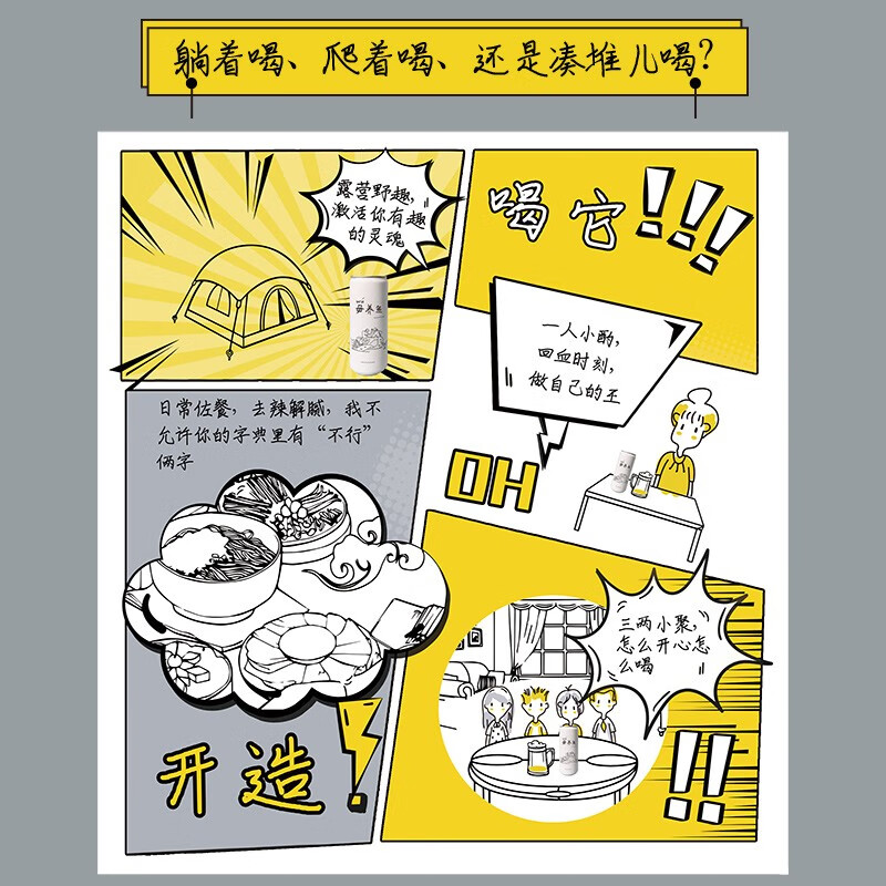 岱记精酿经典小麦白啤酒精酿啤酒 原浆橘香白啤330ml听装近期生产现货直发 毋养鱼白啤 330mL 12罐