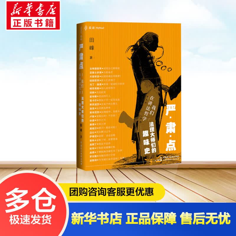 严肃点,我们在讲法哲学 法理大师们的趣味史 田峰 书籍