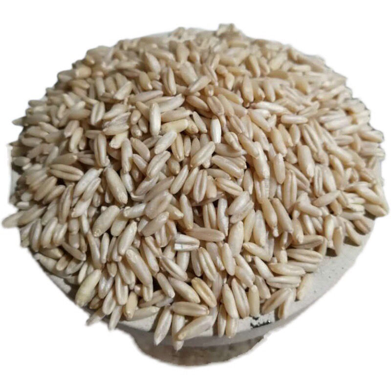 甜胚子 甘肃特产莜麦米油麦子旱地莜麦子甜胚子原材料杂粮1500g
