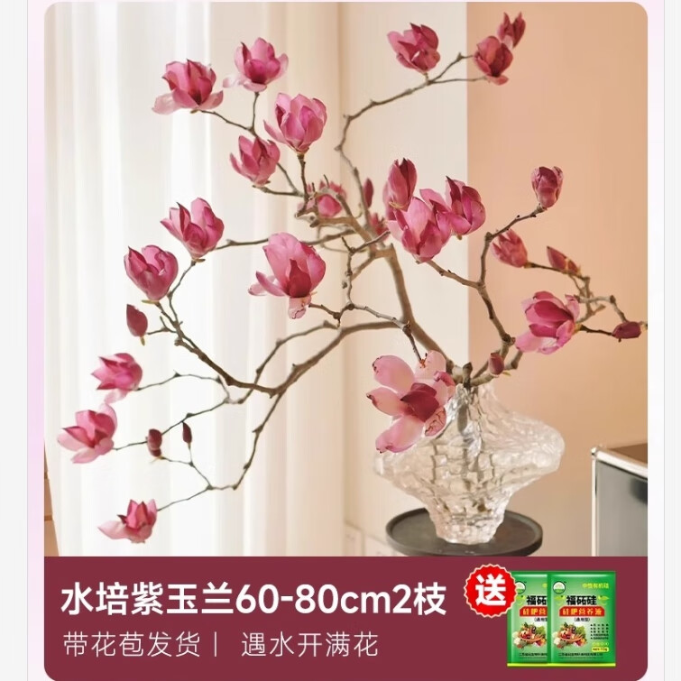 ���ڲ�����������ˮ�໨����������֦�������ʻ�ֲ���������к���Ũ���ͺ�÷����֦ ˮ����������60-80����2֦+����