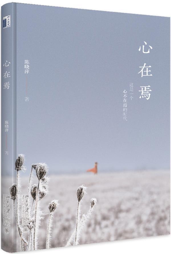心在焉:这是一个心不在焉的时代管理随笔作品集中国当代 图书