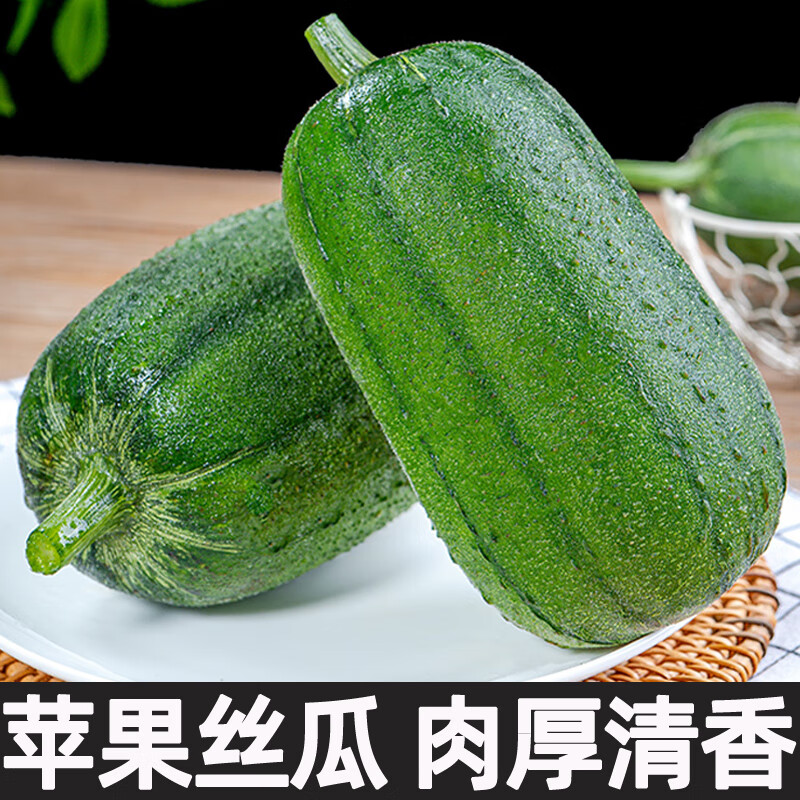 苹果丝瓜装新鲜圆丝瓜绿丝瓜孕妇丝瓜胖肉丝瓜蔬菜 3斤