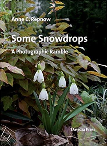 预订some snowdrops - a photographic ramble