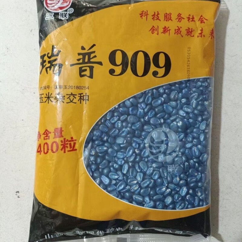 山西三联瑞普909高产杂交玉米种籽国审矮杆抗倒超大棒种子 瑞普909
